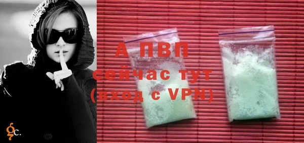 дживик Осташков