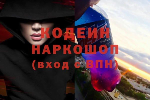 ECSTASY Осинники