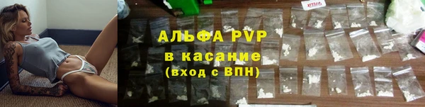 шишки Ветлуга
