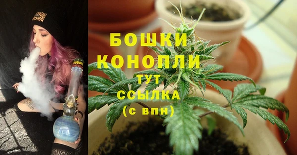 ECSTASY Осинники