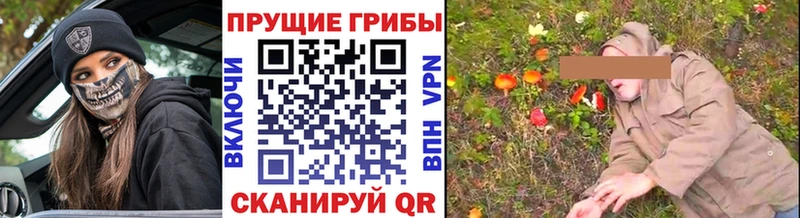 сайты даркнета формула  Торжок  Галлюциногенные грибы MAGIC MUSHROOMS  купить наркотики сайты 